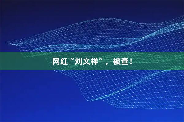 网红“刘文祥”，被查！