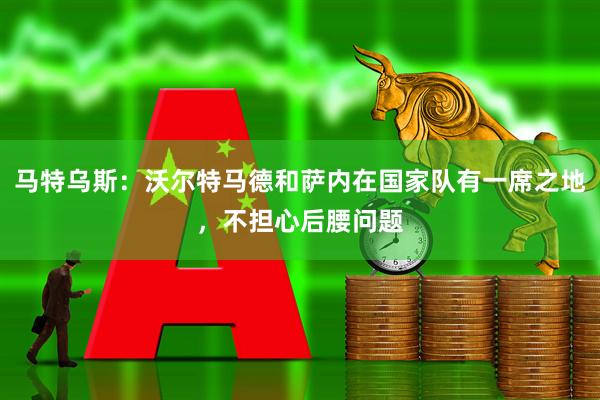 马特乌斯：沃尔特马德和萨内在国家队有一席之地，不担心后腰问题