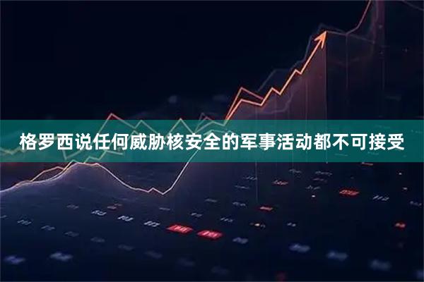 格罗西说任何威胁核安全的军事活动都不可接受