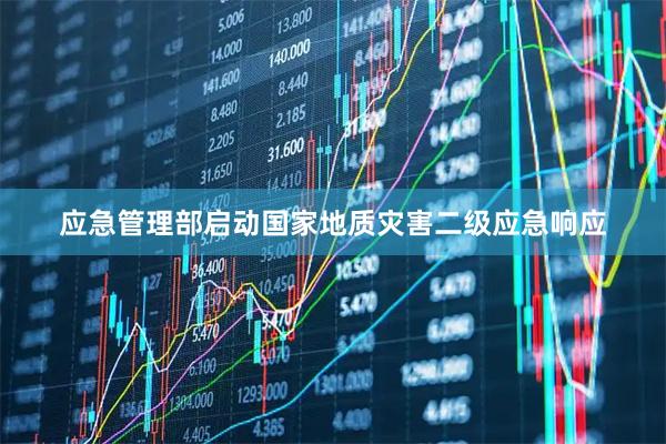 应急管理部启动国家地质灾害二级应急响应