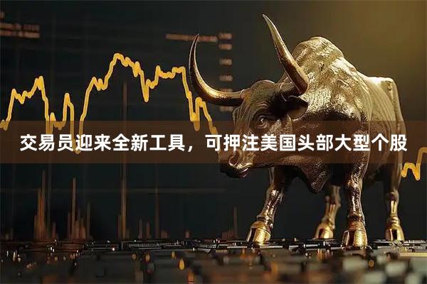 交易员迎来全新工具，可押注美国头部大型个股